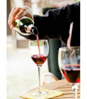 Συνέντευξη από έναν μερακλή καλλιεργητή αμπελιών, τον καθηγητή μας Θανάση Πανταζόπουλο, την γράφουμε όπως ακριβώς την απομαγνητοφωνήσαμε..